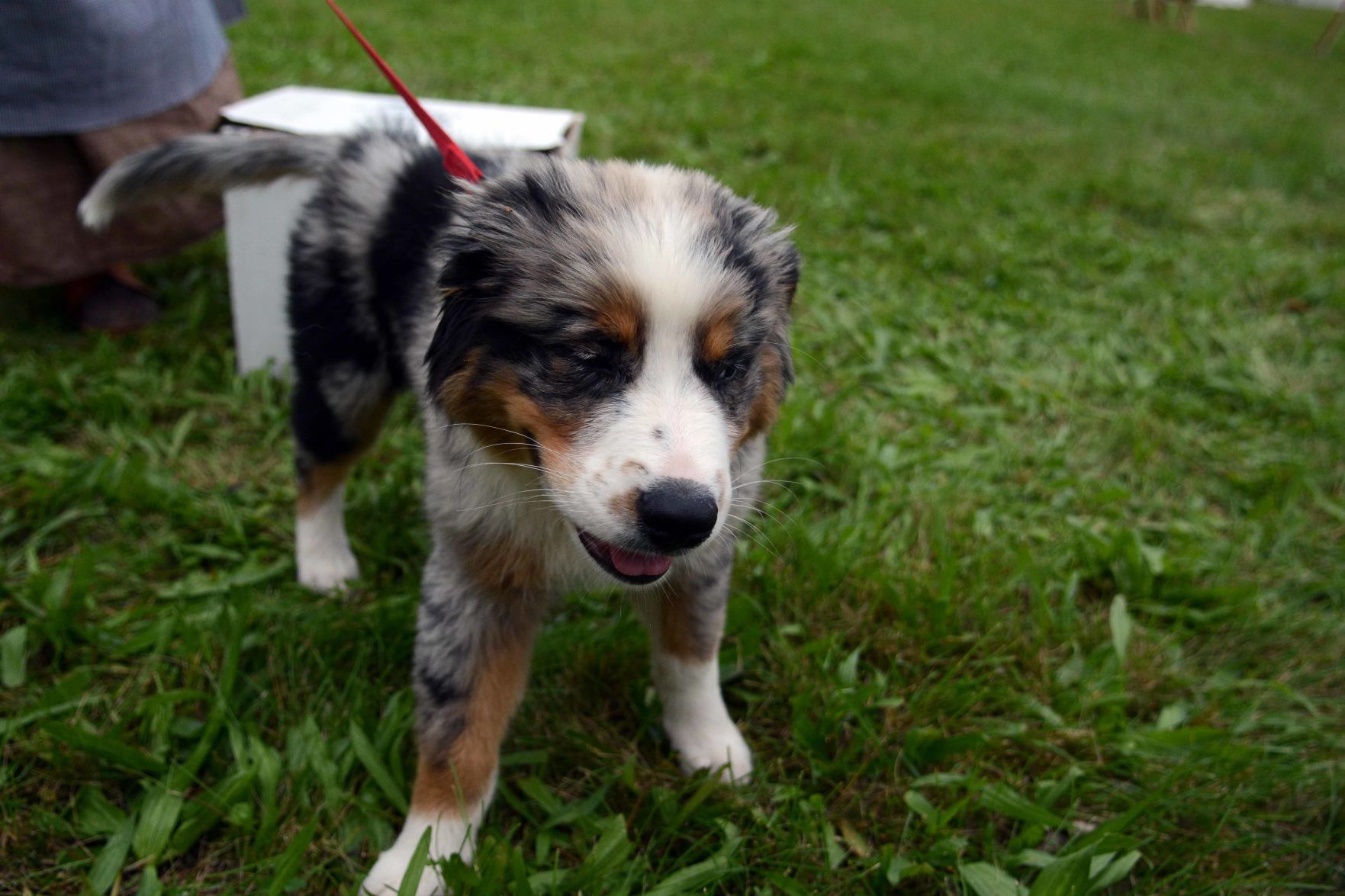Scenes from the Baraboo River Rendezvous